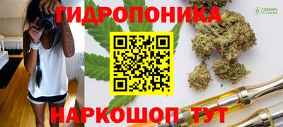 сатива Можайск