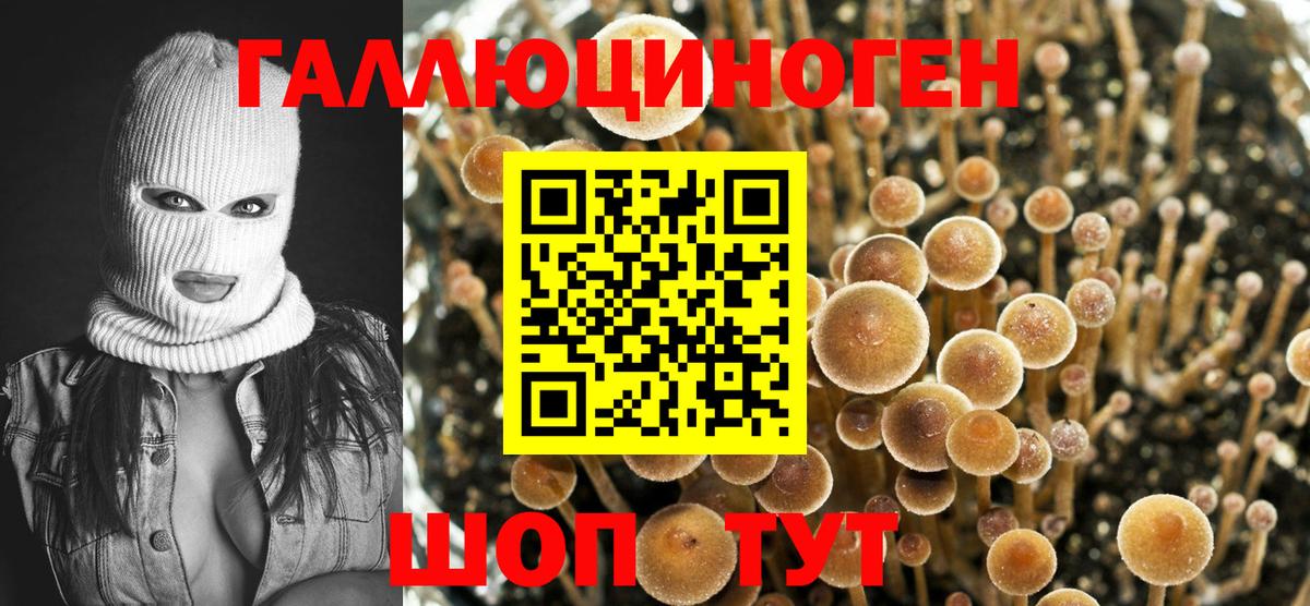 Псилоцибиновые грибы GOLDEN TEACHER  Галлюциногенные грибы Magic Shrooms  Вход с VPN  Советский 