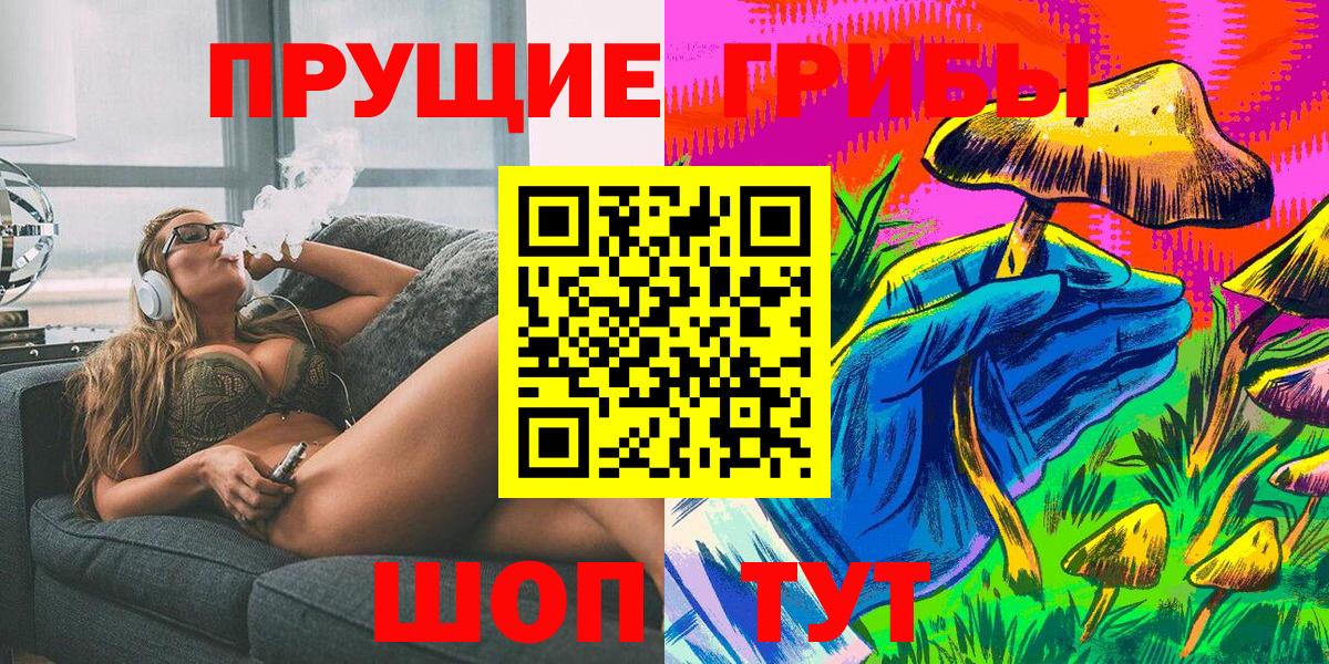 Псилоцибиновые грибы Psilocybine cubensis Советский
